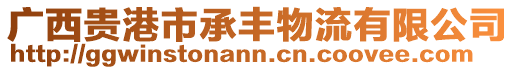 廣西貴港市承豐物流有限公司