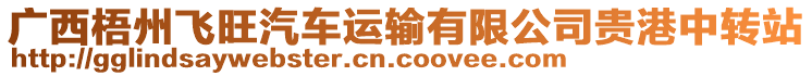 廣西梧州飛旺汽車運輸有限公司貴港中轉(zhuǎn)站