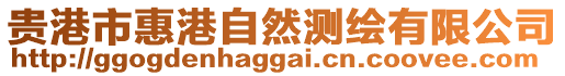 貴港市惠港自然測繪有限公司