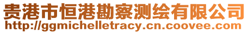 貴港市恒港勘察測繪有限公司