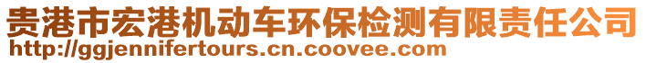 貴港市宏港機動車環保檢測有限責任公司