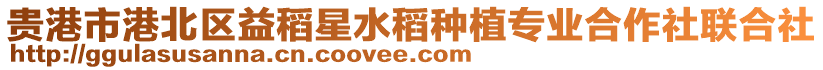 貴港市港北區益稻星水稻種植專業合作社聯合社