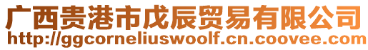 廣西貴港市戊辰貿(mào)易有限公司
