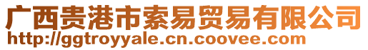 廣西貴港市索易貿易有限公司