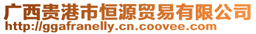 廣西貴港市恒源貿易有限公司