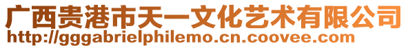 廣西貴港市天一文化藝術(shù)有限公司