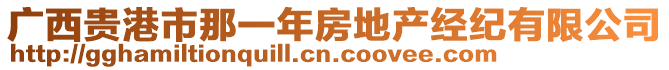 廣西貴港市那一年房地產(chǎn)經(jīng)紀有限公司