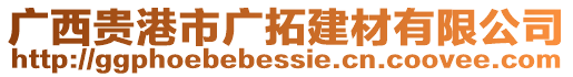 廣西貴港市廣拓建材有限公司