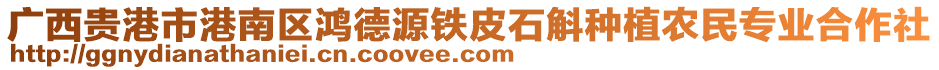 廣西貴港市港南區(qū)鴻德源鐵皮石斛種植農民專業(yè)合作社