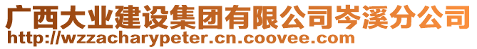 廣西大業(yè)建設(shè)集團(tuán)有限公司岑溪分公司