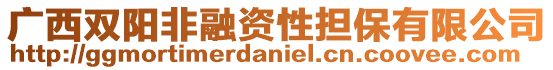 廣西雙陽非融資性擔(dān)保有限公司