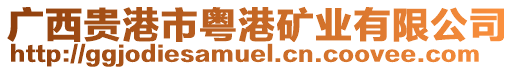 廣西貴港市粵港礦業(yè)有限公司