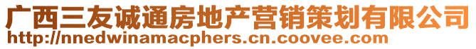 廣西三友誠(chéng)通房地產(chǎn)營(yíng)銷策劃有限公司