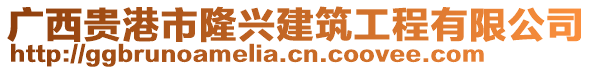 廣西貴港市隆興建筑工程有限公司