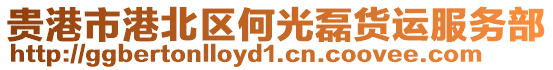 貴港市港北區(qū)何光磊貨運(yùn)服務(wù)部