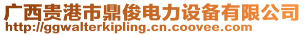 廣西貴港市鼎俊電力設備有限公司