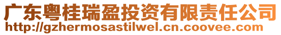 廣東粵桂瑞盈投資有限責任公司