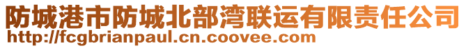 防城港市防城北部灣聯運有限責任公司
