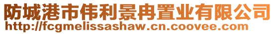 防城港市偉利景冉置業有限公司