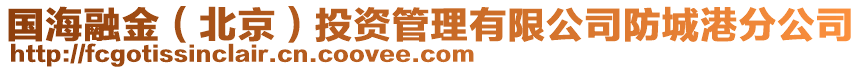 國(guó)海融金（北京）投資管理有限公司防城港分公司