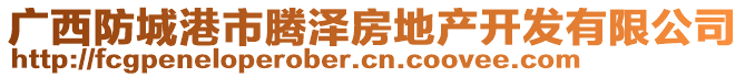 廣西防城港市騰澤房地產(chǎn)開發(fā)有限公司