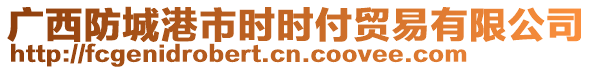 廣西防城港市時時付貿(mào)易有限公司