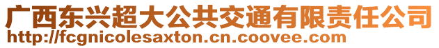 廣西東興超大公共交通有限責(zé)任公司