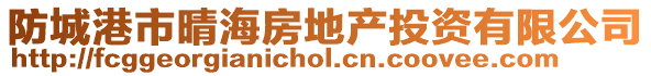 防城港市晴海房地產(chǎn)投資有限公司