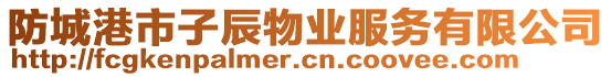 防城港市子辰物業(yè)服務有限公司