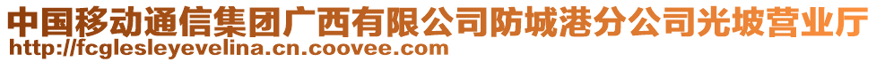 中國移動通信集團廣西有限公司防城港分公司光坡營業(yè)廳