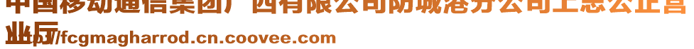 中國移動通信集團廣西有限公司防城港分公司上思公正營
業廳