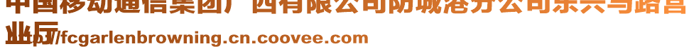 中國移動通信集團廣西有限公司防城港分公司東興馬路營
業廳