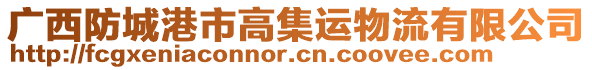 廣西防城港市高集運物流有限公司