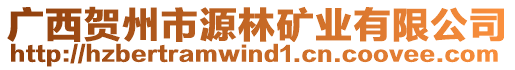 廣西賀州市源林礦業(yè)有限公司