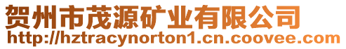 賀州市茂源礦業有限公司