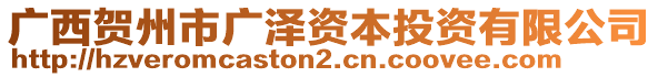 廣西賀州市廣澤資本投資有限公司