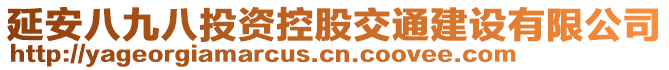 延安八九八投資控股交通建設(shè)有限公司