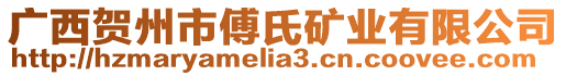 廣西賀州市傅氏礦業(yè)有限公司