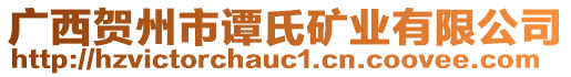 廣西賀州市譚氏礦業(yè)有限公司