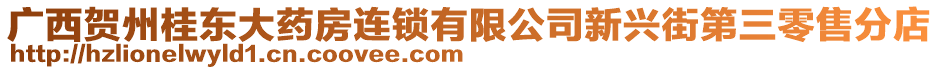 廣西賀州桂東大藥房連鎖有限公司新興街第三零售分店