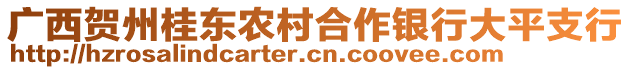 廣西賀州桂東農(nóng)村合作銀行大平支行