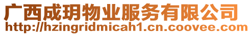 廣西成玥物業(yè)服務(wù)有限公司