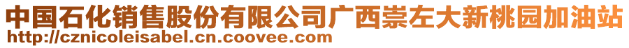 中國(guó)石化銷售股份有限公司廣西崇左大新桃園加油站