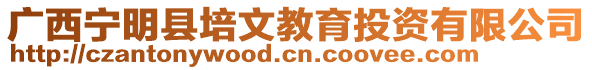 廣西寧明縣培文教育投資有限公司