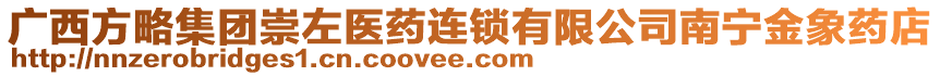 廣西方略集團(tuán)崇左醫(yī)藥連鎖有限公司南寧金象藥店