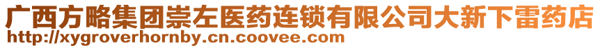 廣西方略集團崇左醫(yī)藥連鎖有限公司大新下雷藥店