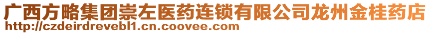 廣西方略集團(tuán)崇左醫(yī)藥連鎖有限公司龍州金桂藥店