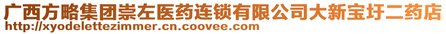 广西方略集团崇左医药连锁有限公司大新宝圩二药店