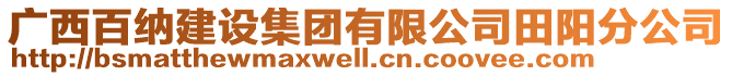 廣西百納建設集團有限公司田陽分公司