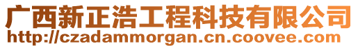 廣西新正浩工程科技有限公司